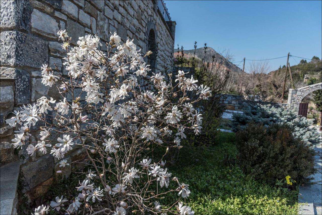 Vila Stone Mansion Anavryti, Αμα 20569 Mystras Exteriér fotografie